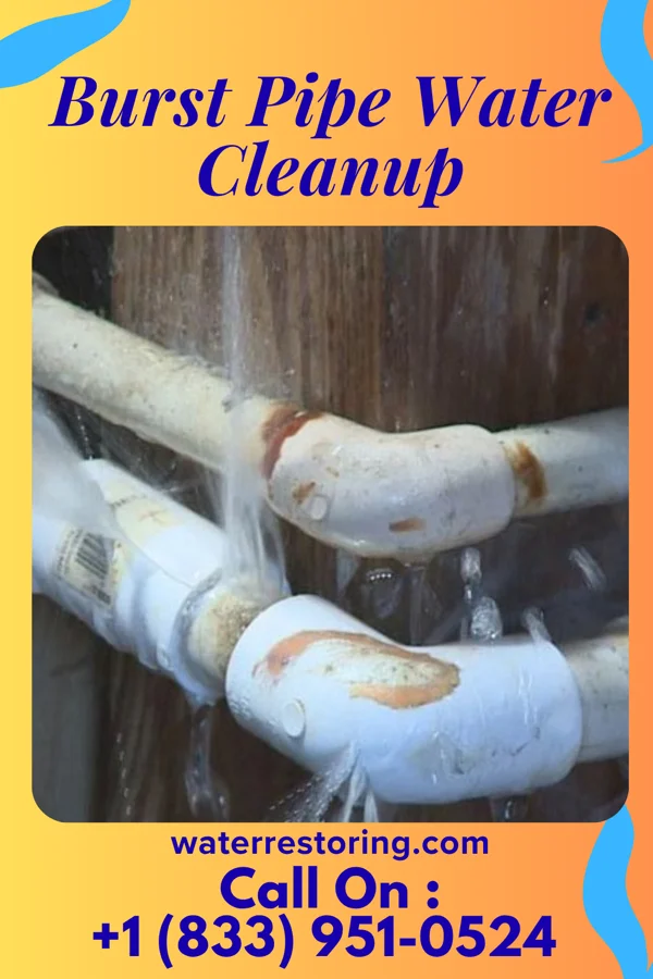 Burst Pipe Water Cleanup in Batesville, OH