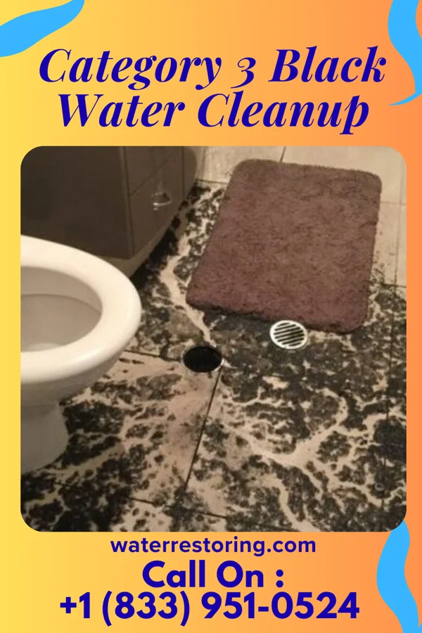 Category 3 Black Water Cleanup in Batesville, OH