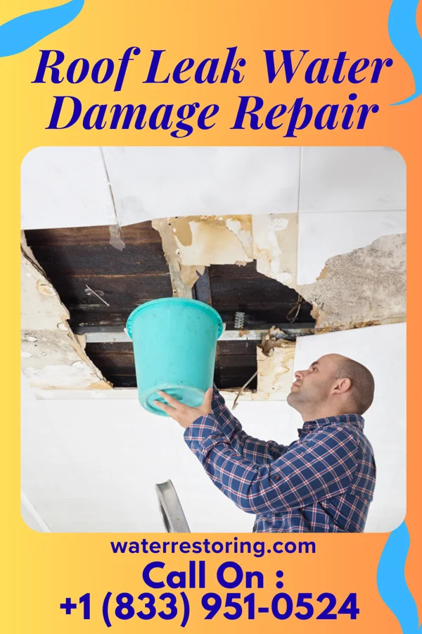 Roof Leak Water Damage Repair in Batesville, OH