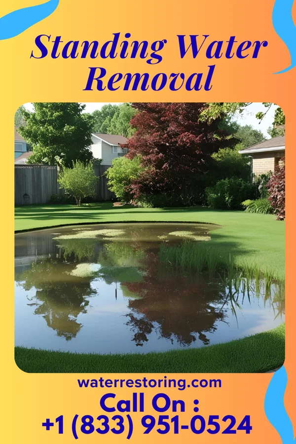 Standing Water Removal in Batesville, OH
